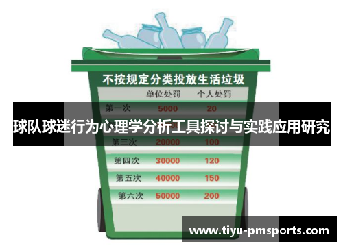 球队球迷行为心理学分析工具探讨与实践应用研究