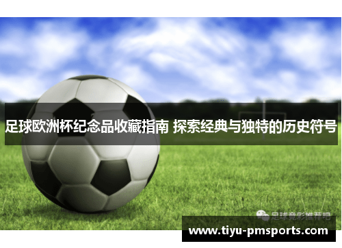 足球欧洲杯纪念品收藏指南 探索经典与独特的历史符号