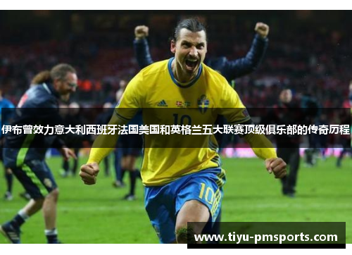 伊布曾效力意大利西班牙法国美国和英格兰五大联赛顶级俱乐部的传奇历程