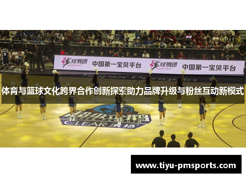 体育与篮球文化跨界合作创新探索助力品牌升级与粉丝互动新模式