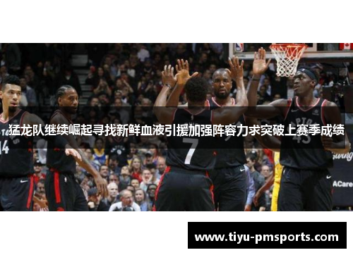 猛龙队继续崛起寻找新鲜血液引援加强阵容力求突破上赛季成绩