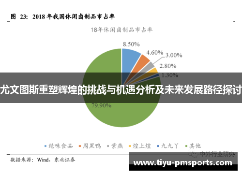 尤文图斯重塑辉煌的挑战与机遇分析及未来发展路径探讨