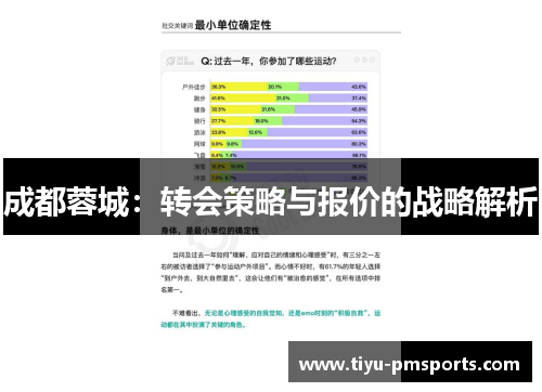 成都蓉城：转会策略与报价的战略解析