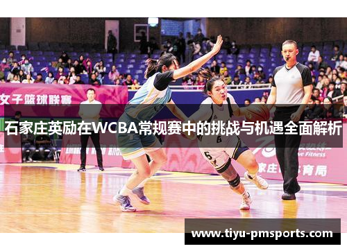 石家庄英励在WCBA常规赛中的挑战与机遇全面解析