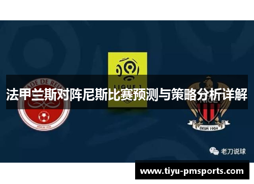法甲兰斯对阵尼斯比赛预测与策略分析详解