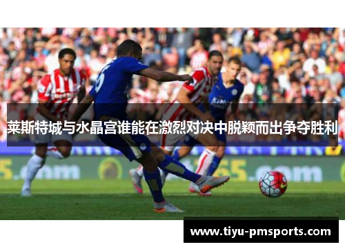 莱斯特城与水晶宫谁能在激烈对决中脱颖而出争夺胜利